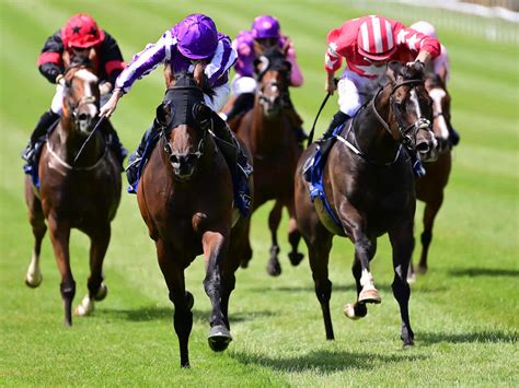 Sunday Horse Racing .